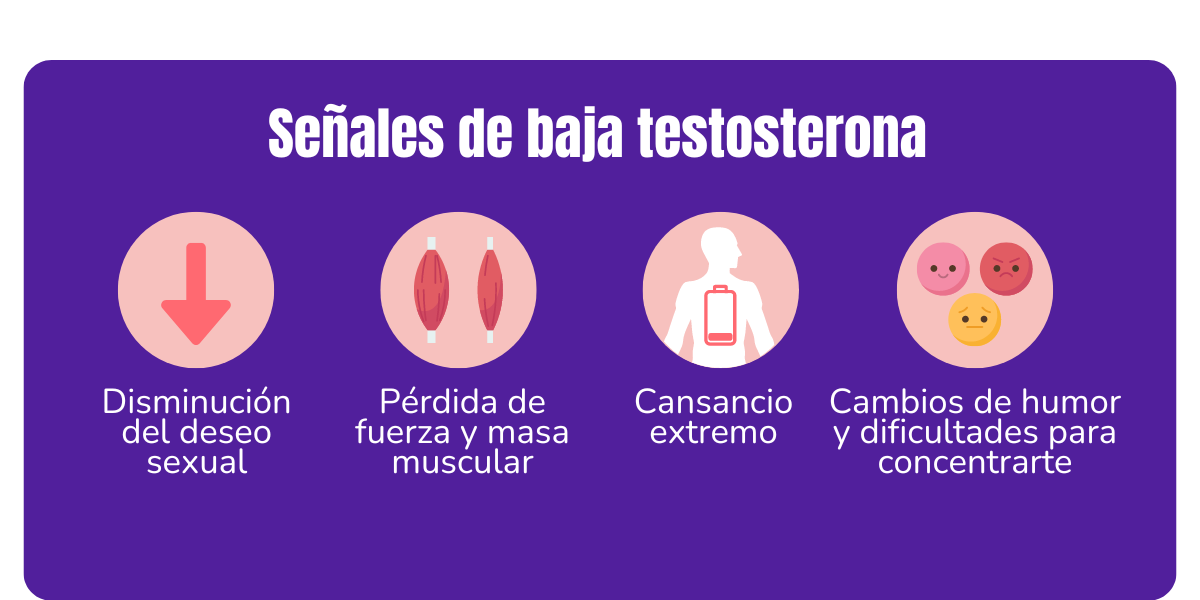 cómo aumentar la testosterona